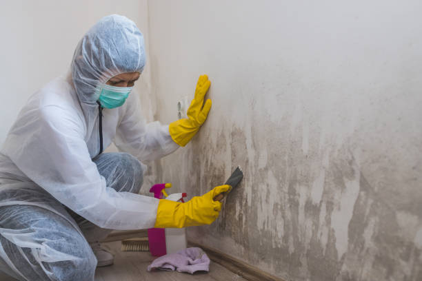 Best Toxic Mold Removal  in Creswell, OR