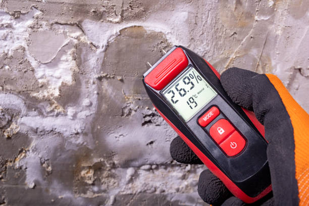 Best Mold Testing  in Creswell, OR