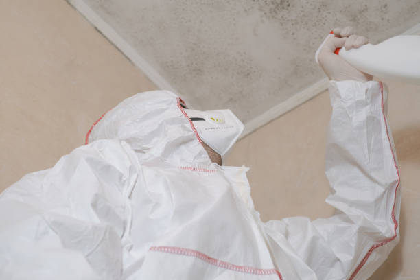 Home Mold Removal in Creswell, OR