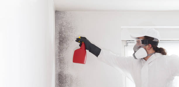 Best Mold Remediation Services  in Creswell, OR