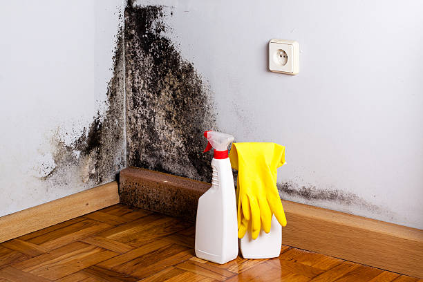 Best Certified Mold Removal  in Creswell, OR